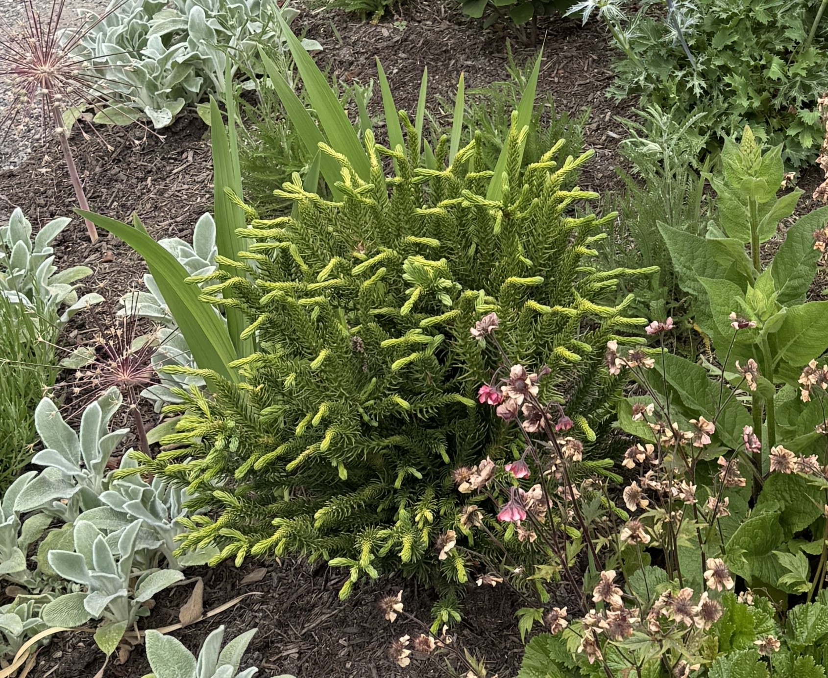 Bellevue Botanical Garden